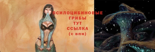 ГАЛЛЮЦИНОГЕННЫЕ ГРИБЫ Арсеньев