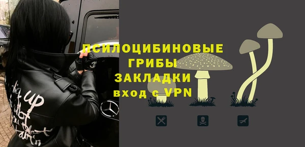 ГАЛЛЮЦИНОГЕННЫЕ ГРИБЫ Арсеньев