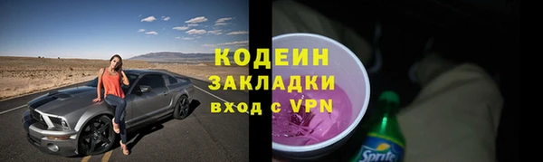 ГАЛЛЮЦИНОГЕННЫЕ ГРИБЫ Арсеньев