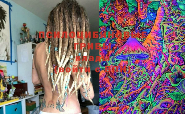 spice Аркадак