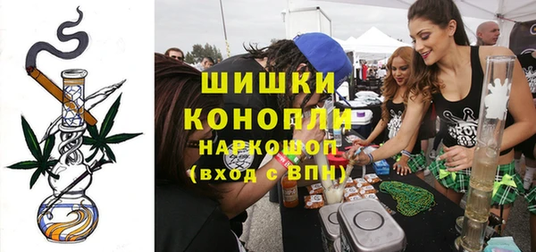 spice Аркадак